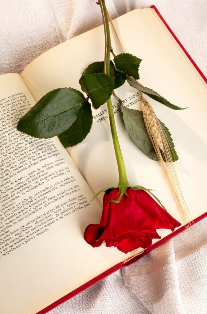 Why Romance as Literary Fiction Matters — and Why It Should Bring Us Joy